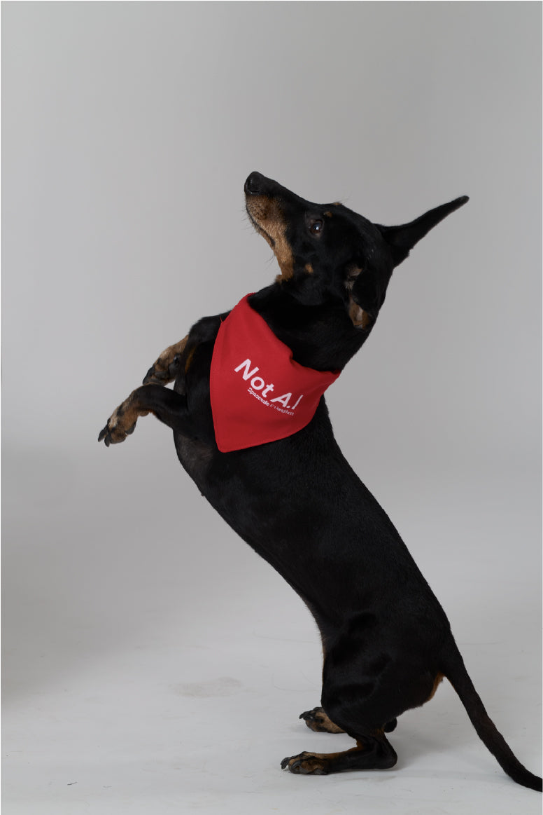 Not AI Pet Clip-On Pet Bandana